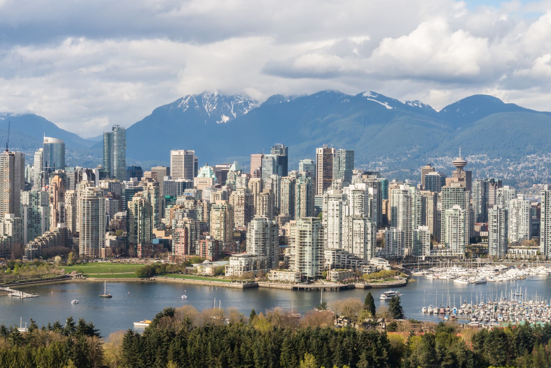 Office Catering in Vancouver: A Guide for Office Managers