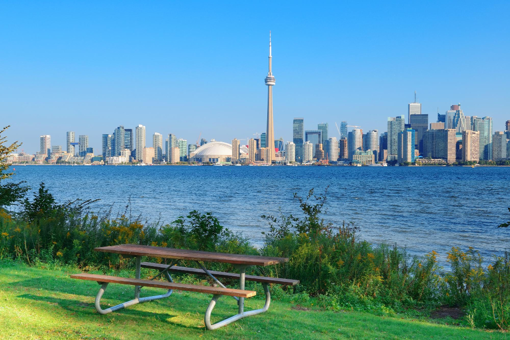 Catering Service Toronto Compared: Marketplace vs One-Off Caterer vs Delivery App